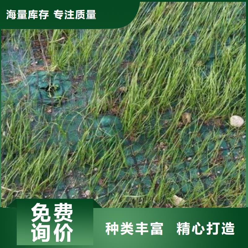 聚酯长丝土工布视频-聚酯长丝土工布-内蒙古乌兰察布市呼伦贝尔|乌海|通辽|鄂尔多斯|阿拉善|锡林郭勒|兴安【该地】生产商