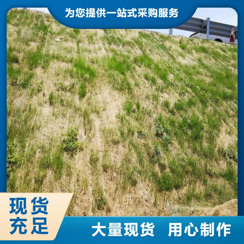 【椰丝毯-【钢塑土工格栅】种类丰富】