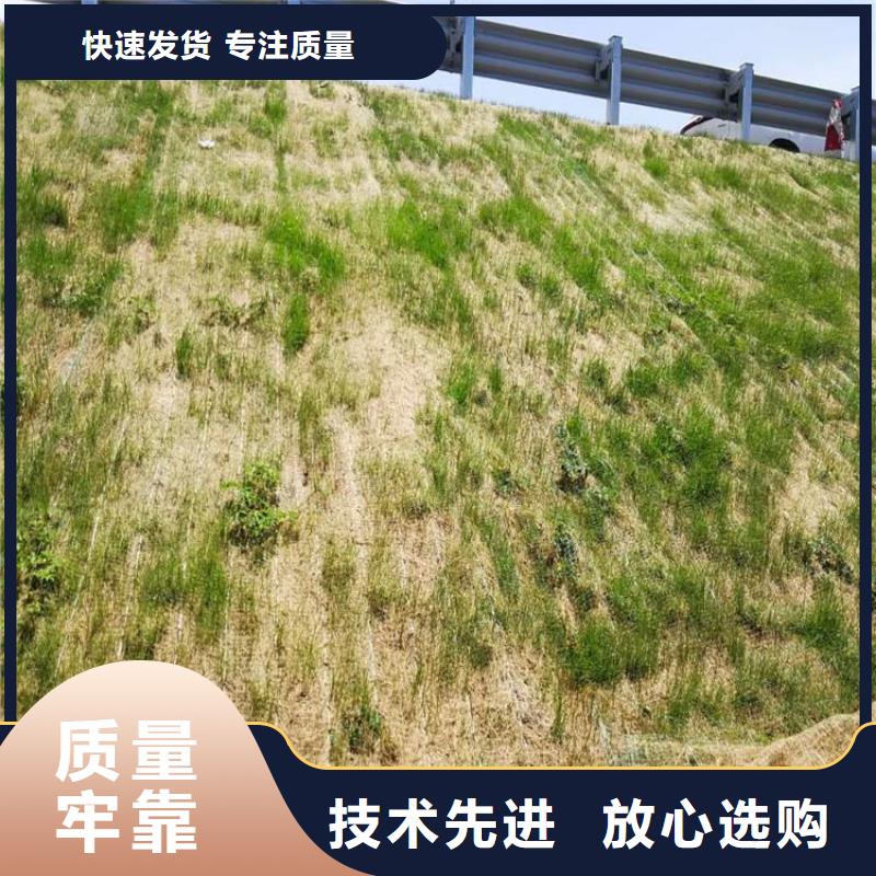 椰丝毯【塑料盲沟】现货