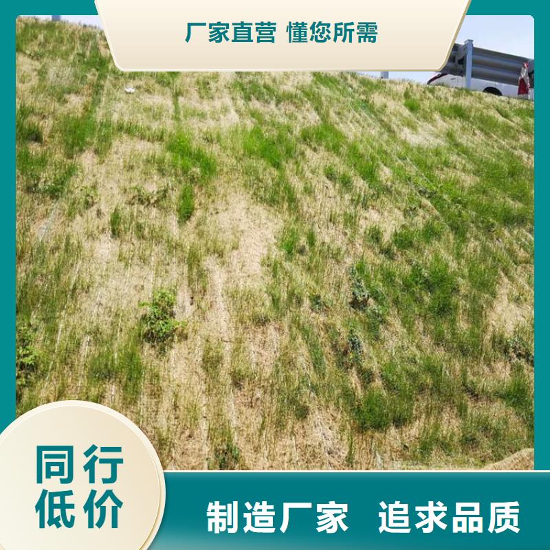 聚酯长丝土工布-视频-聚酯长丝土工布(中齐)覆盖地域江苏省扬州市江都|邗江|徐州|无锡|苏州|常州|南京