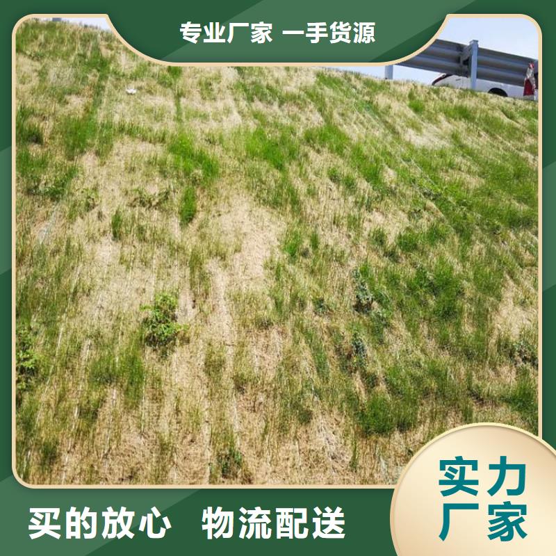 聚酯长丝土工布-视频-湖北省武汉市|东西湖|武昌|襄阳|黄冈|宜昌|荆门|黄石|十堰聚酯长丝土工布-中齐