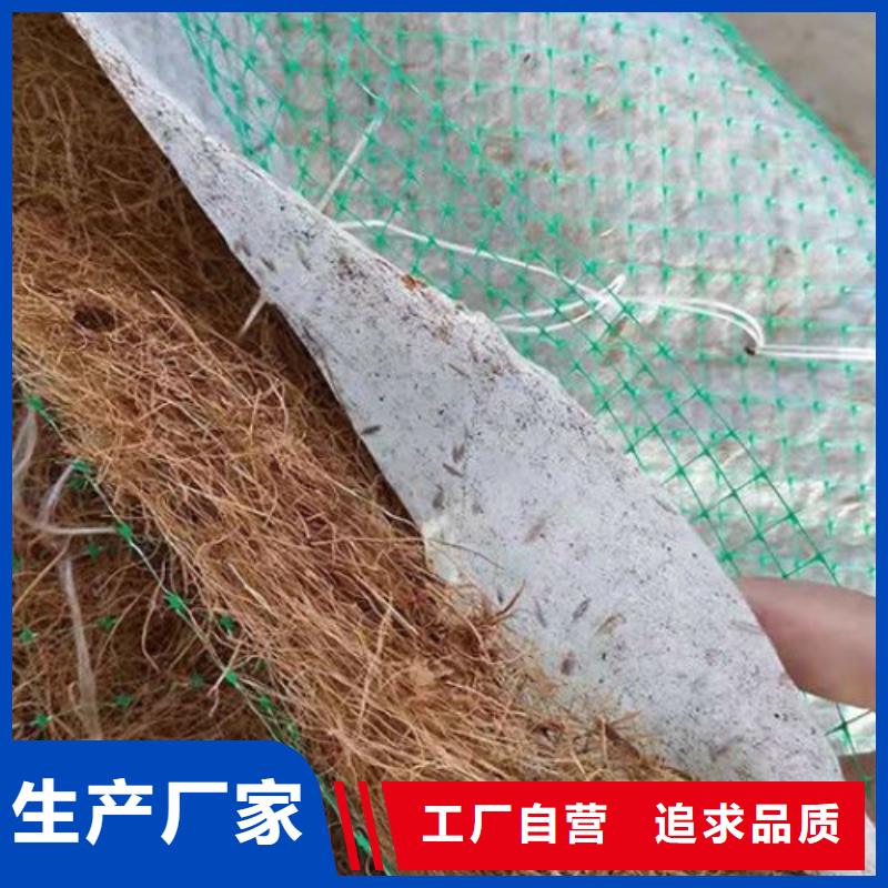椰丝毯,HDPE土工膜应用领域