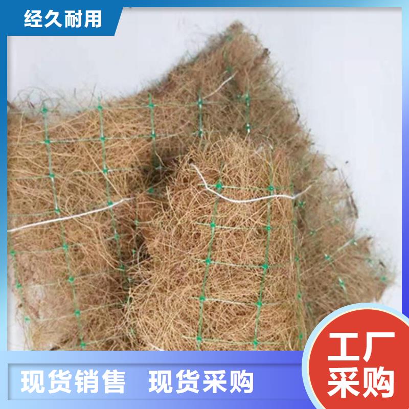 聚酯长丝土工布视频-聚酯长丝土工布-中齐建材(扬州市分公司)服务区域邗江|江都|南京|泰州|徐州|淮安|镇江