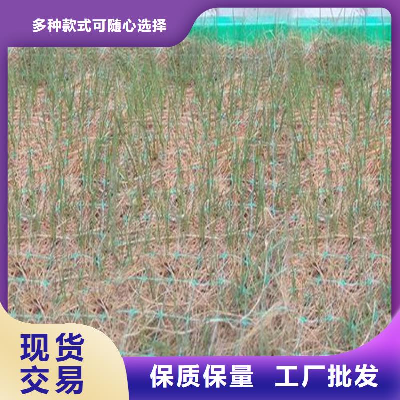 聚酯长丝土工布-视频-湖北省武汉市|东西湖|武昌|襄阳|黄冈|宜昌|荆门|黄石|十堰聚酯长丝土工布-中齐