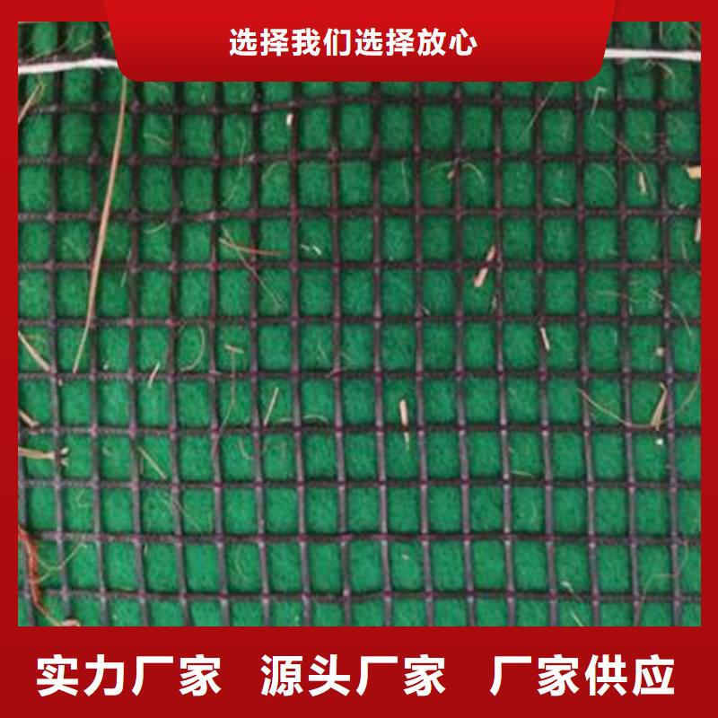 聚酯长丝土工布-视频-湖北省武汉市|东西湖|武昌|襄阳|黄冈|宜昌|荆门|黄石|十堰聚酯长丝土工布-中齐