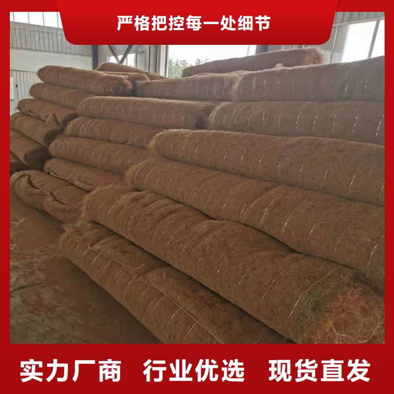 聚酯长丝土工布视频-聚酯长丝土工布-中齐建材(扬州市分公司)服务区域邗江|江都|南京|泰州|徐州|淮安|镇江