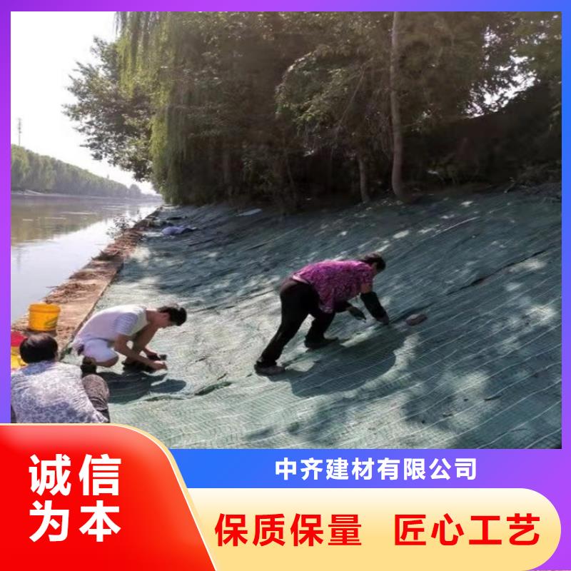 椰丝毯【土工格栅】支持货到付清