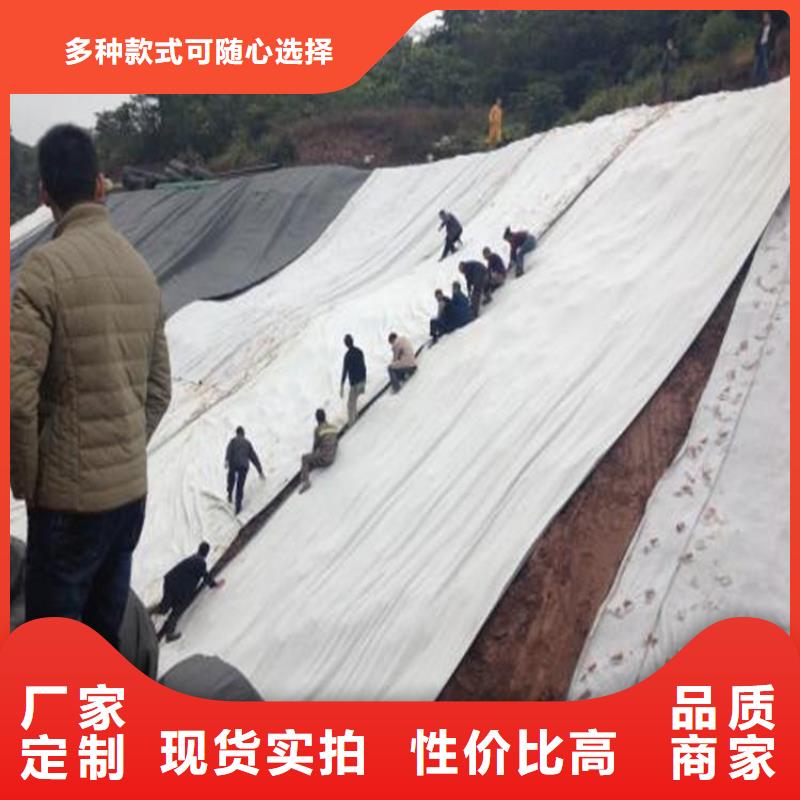 【膨润土防水毯短纤无纺土工布24小时下单发货】