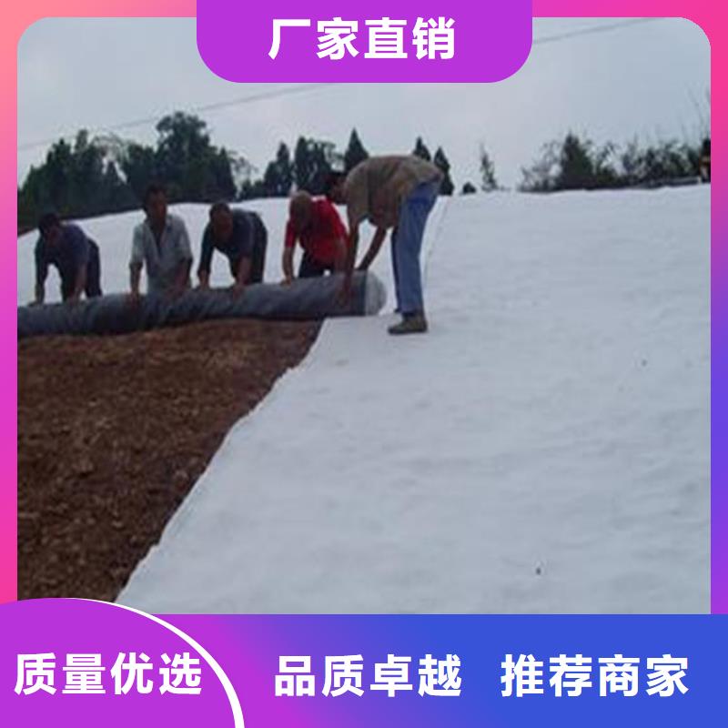 聚酯长丝土工布-视频-嘉峪关市聚酯长丝土工布|临夏|酒泉|庆阳|陇南|张掖|定西