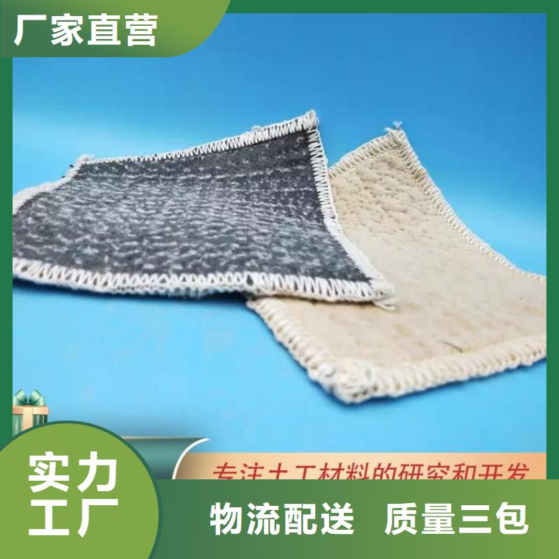 膨润土防水毯三维植被网N年专注
