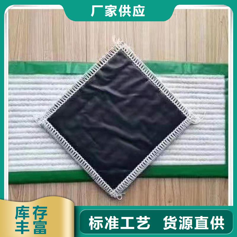 膨润土防水毯三维植被网N年专注
