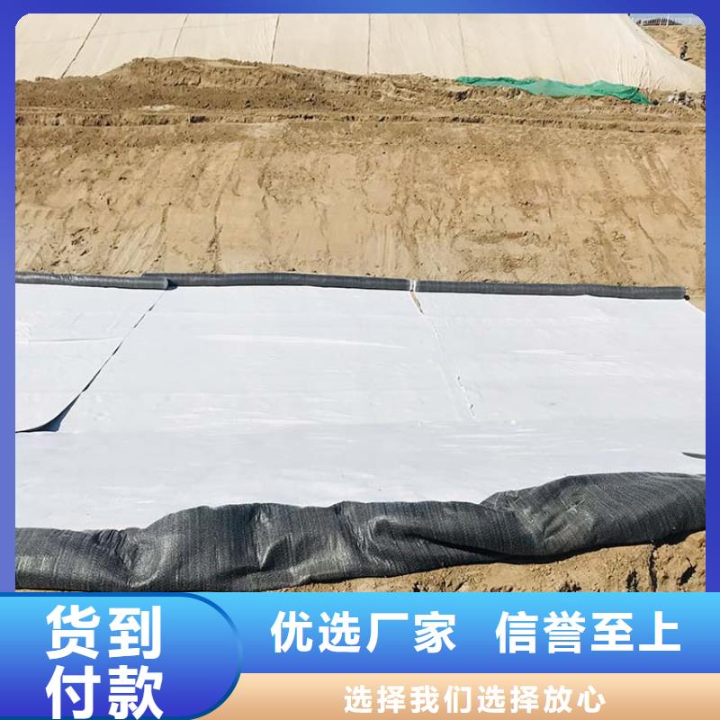 膨润土防水毯蓄水板精品选购