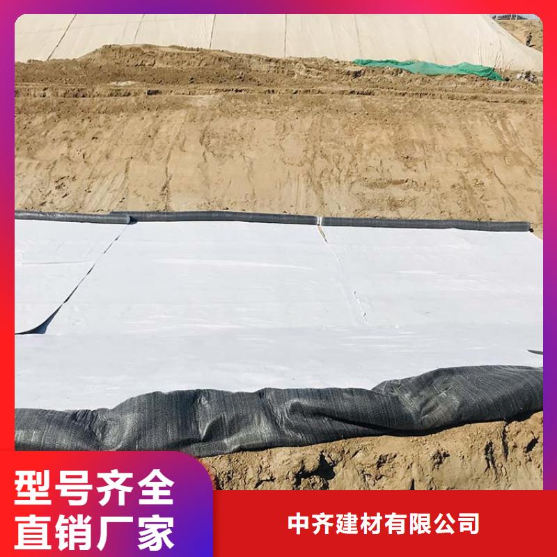 聚酯长丝土工布-视频-嘉峪关市聚酯长丝土工布|临夏|酒泉|庆阳|陇南|张掖|定西
