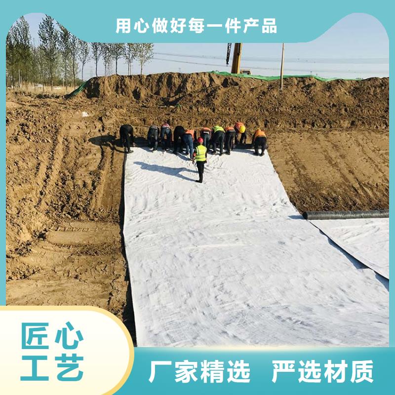 膨润土防水毯三维植被网N年专注