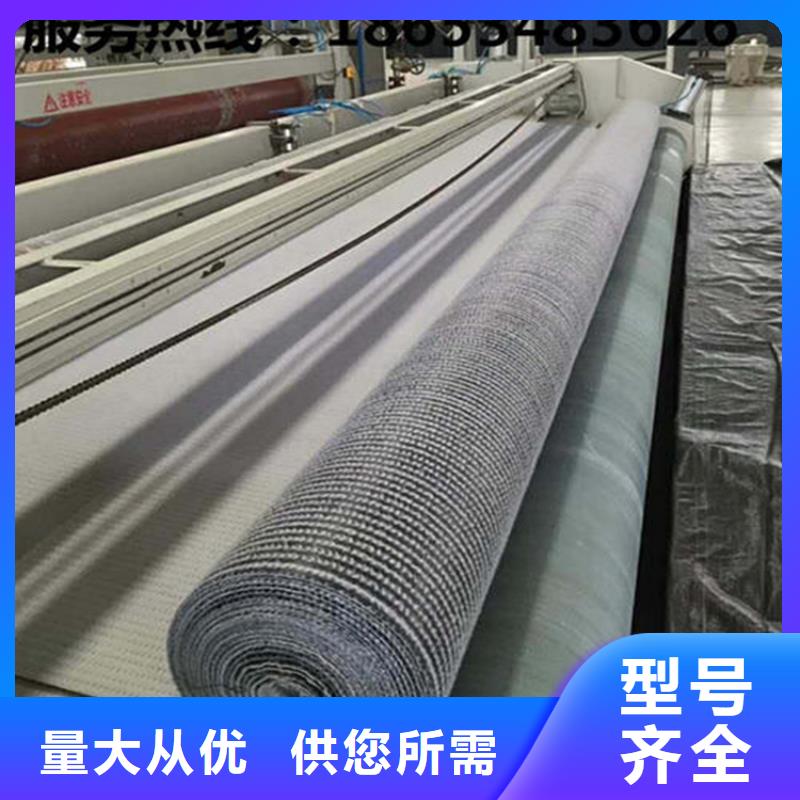膨润土防水毯三维植被网N年专注