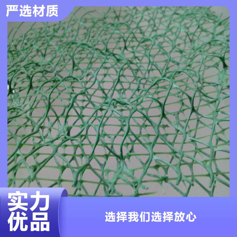 三维植被网塑料盲沟货源充足