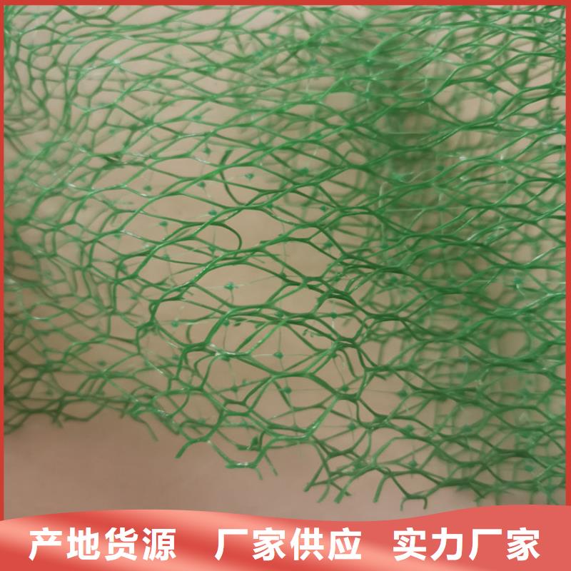 三维植被网塑料盲沟货源充足