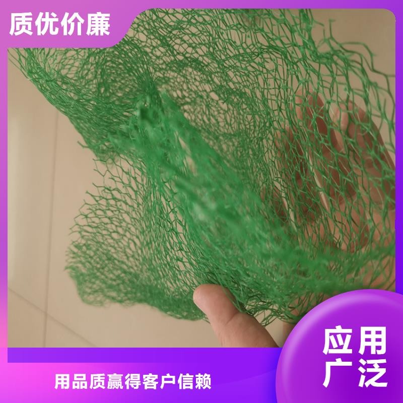 三维植被网土工布标准工艺