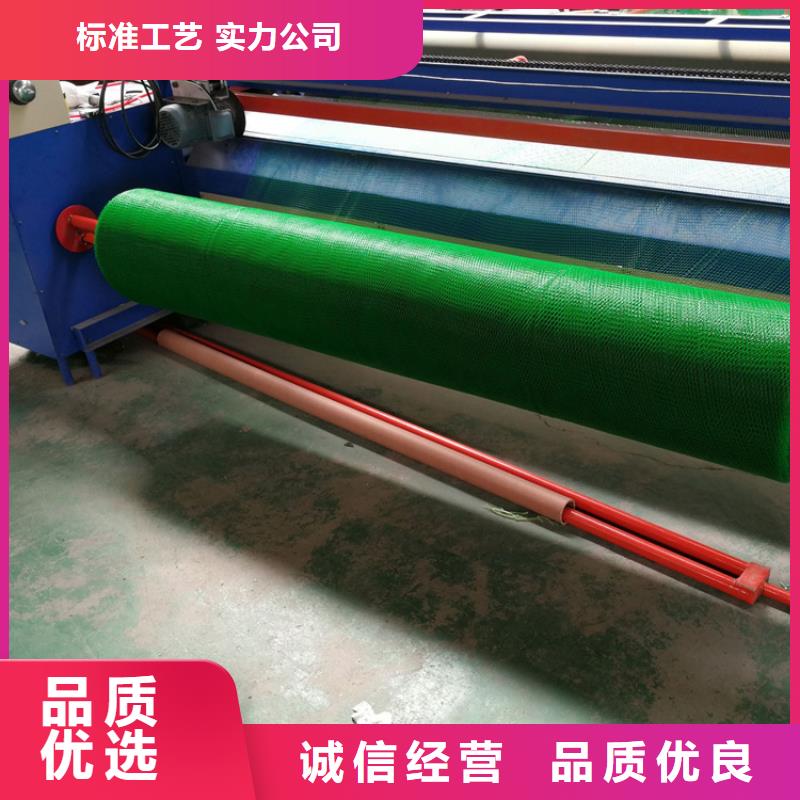 三维植被网土工布N年专注