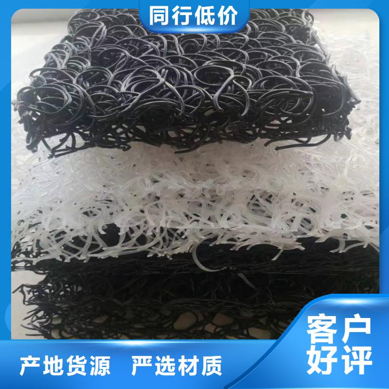 土工席垫三维植被网一站式供应厂家
