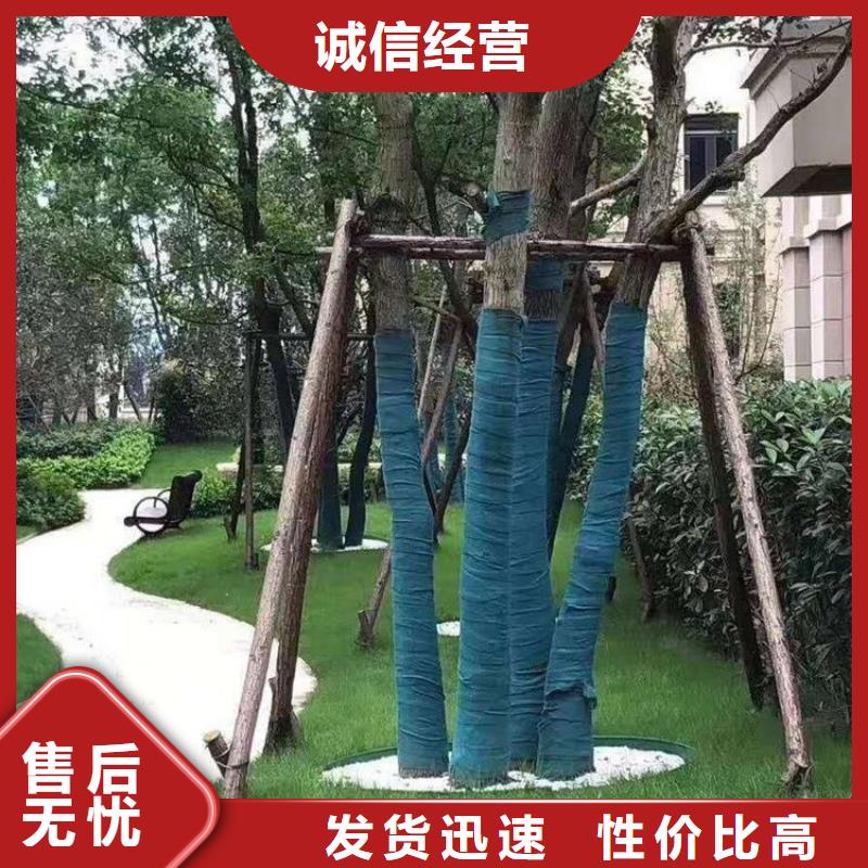 聚酯长丝土工布-视频-大祥|新邵|岳阳|湘西|永州|长沙|怀化|娄底中齐聚酯长丝土工布_ 中齐建材(邵阳市分公司)