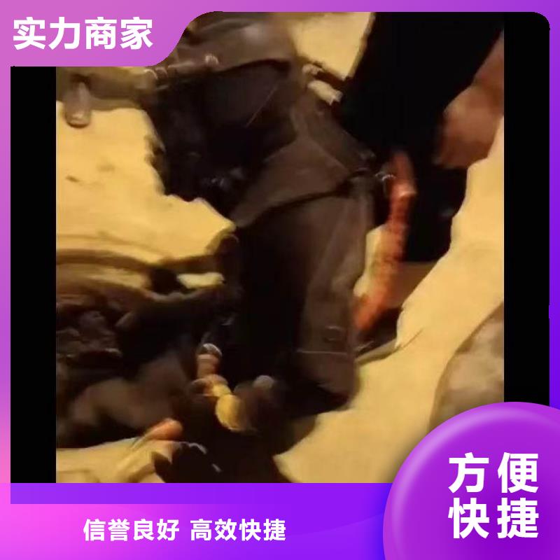 县水下作业潜水服务价格表