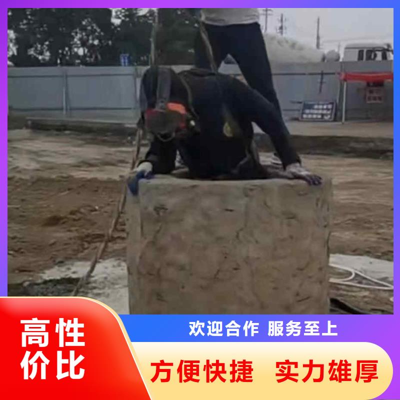 潜水员服务本地潜水搜索团队齐全