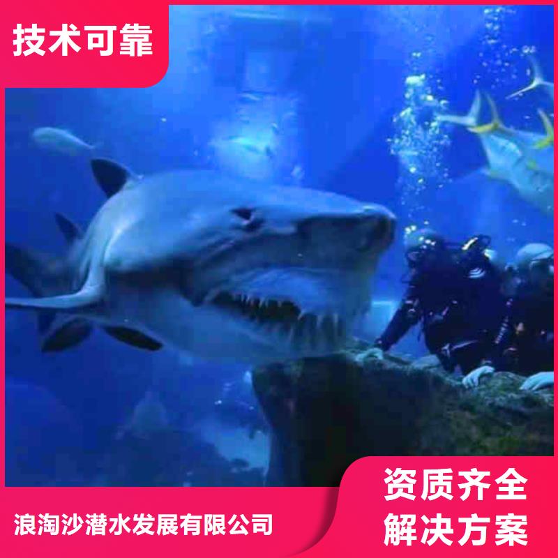 潜水员服务,【水下清障】效果满意为止