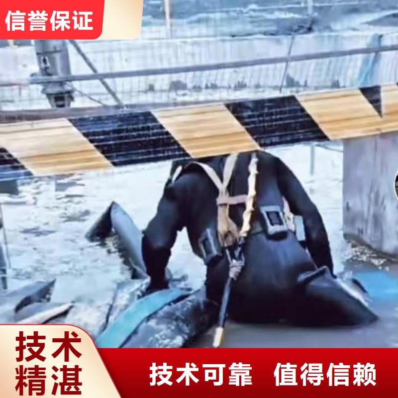 潜水员服务水下摄影信誉良好