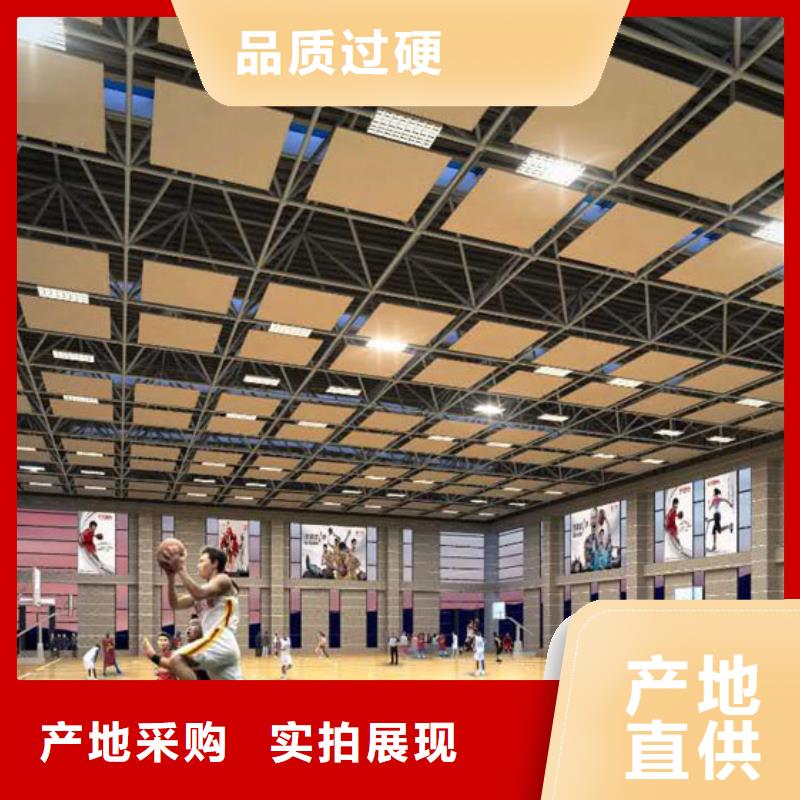 《凯音》广东省深圳市沙井街道集团公司体育馆吸音改造方案--2024最近方案/价格