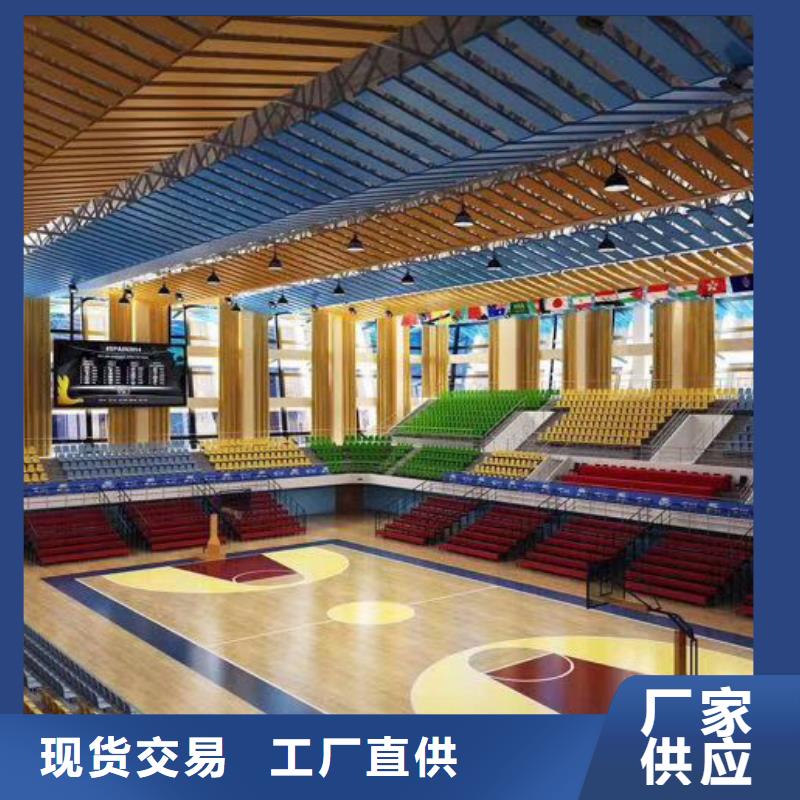 广东省价格地道《凯音》篮球馆体育馆声学改造公司--2024最近方案/价格
