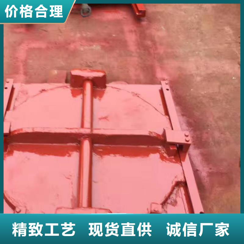 镶铜铸铁闸门加工厂供应