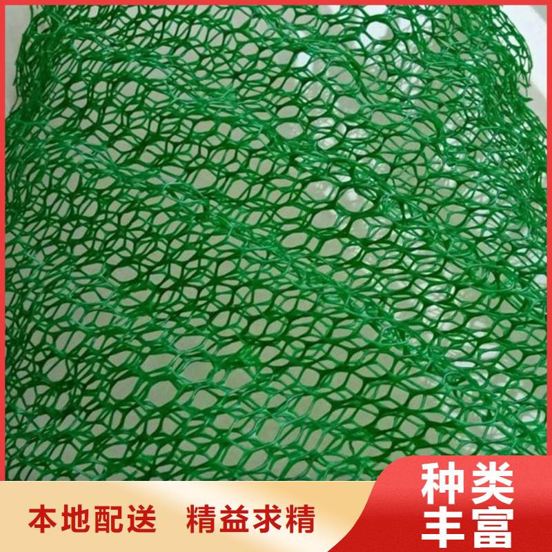 【三维植被网,止水铜片实力大厂家】