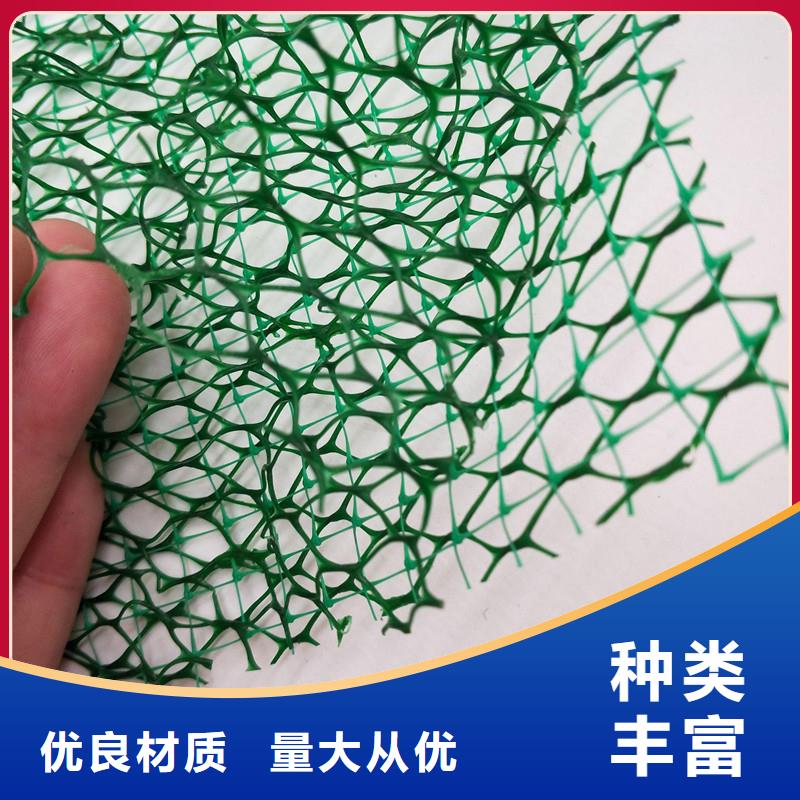 【产地货源 三维植被网_土工膜种类齐全】