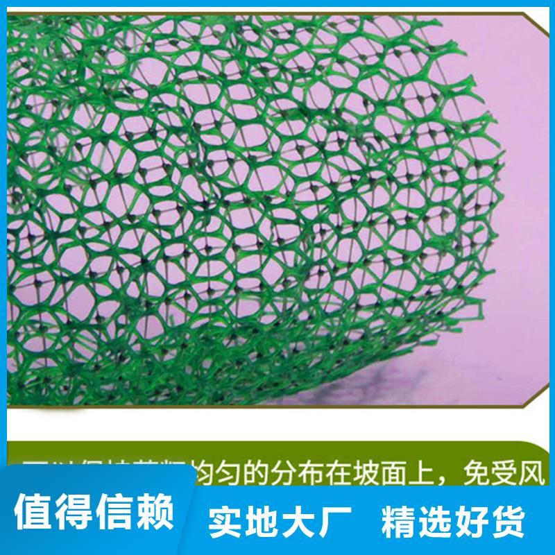 三维植被网止水紫铜片厂家直营