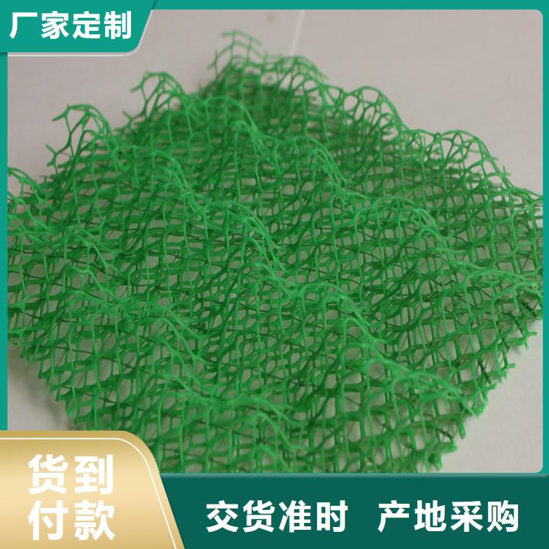 【三维植被网,止水铜片实力大厂家】