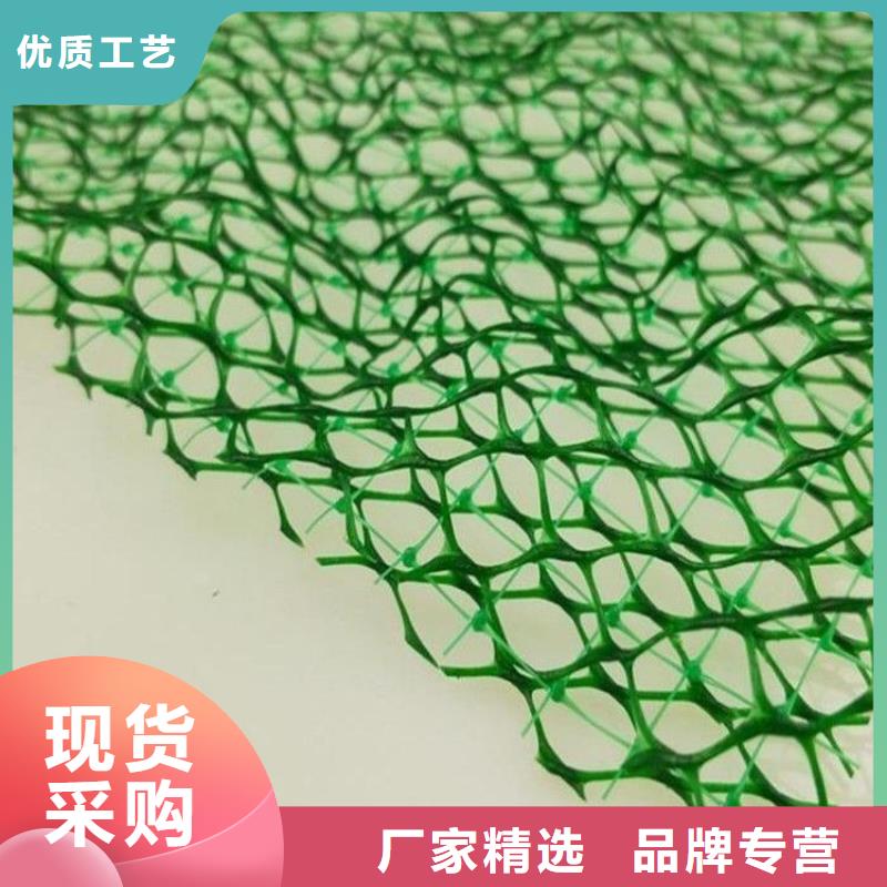 三维土工网植草厂家-认准金鸿耀工程材料有限公司