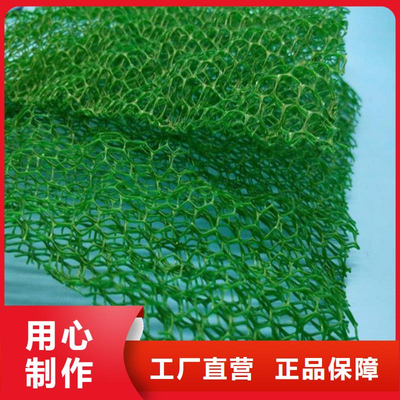 【三维植被网,止水铜片实力大厂家】