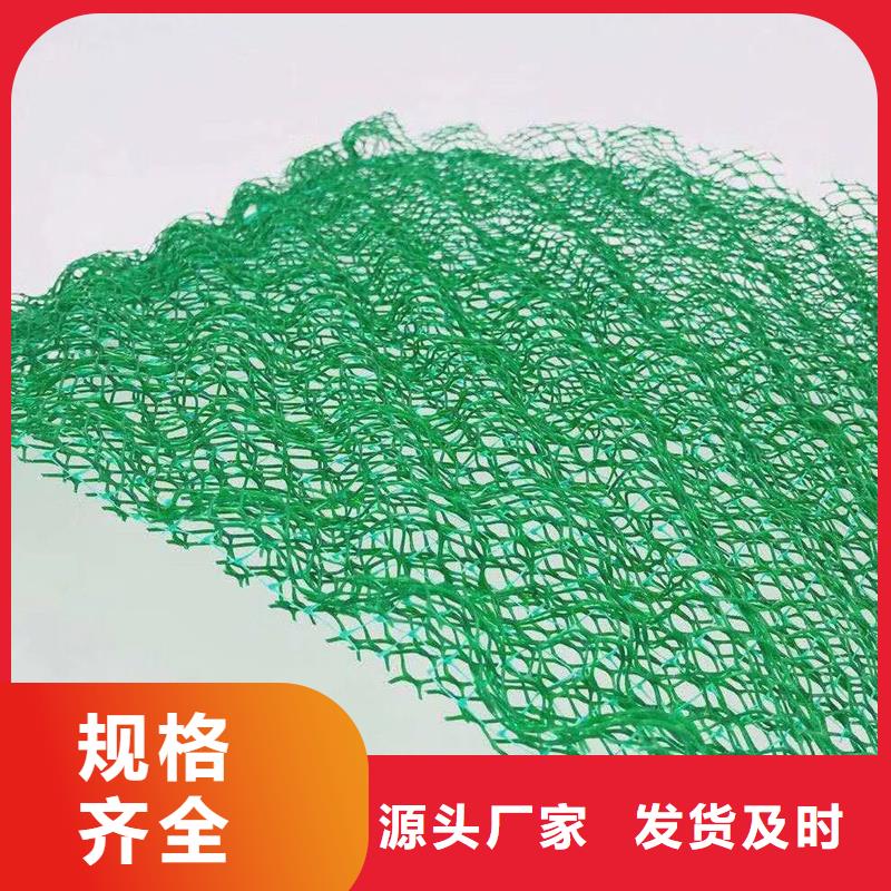 三维土工网植草厂家-认准金鸿耀工程材料有限公司