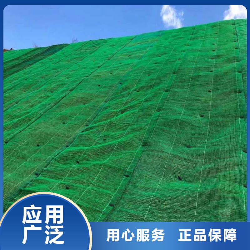 【三维植被网,止水铜片实力大厂家】