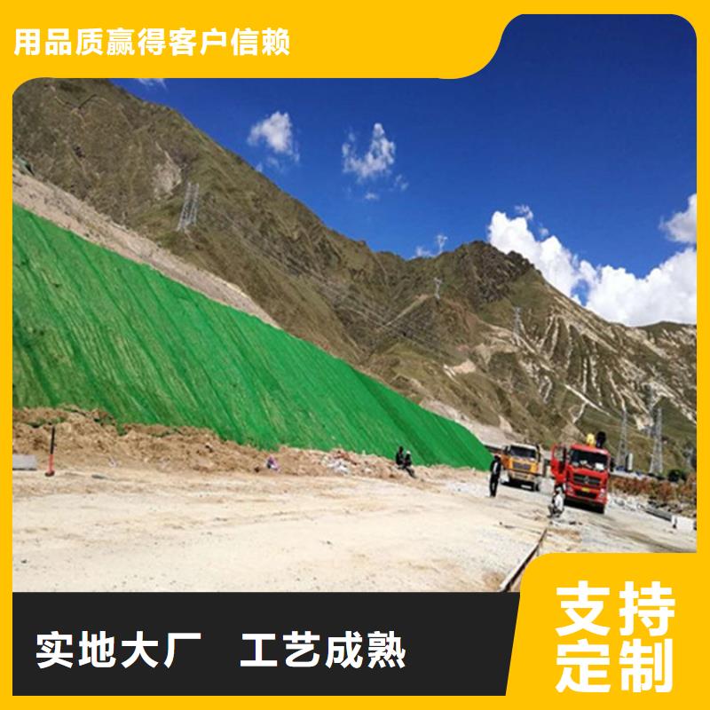 三维植被网止水铜片好品质用的放心