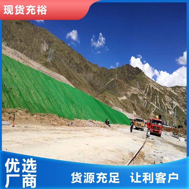 三维植被网护坡报价-可在线咨询