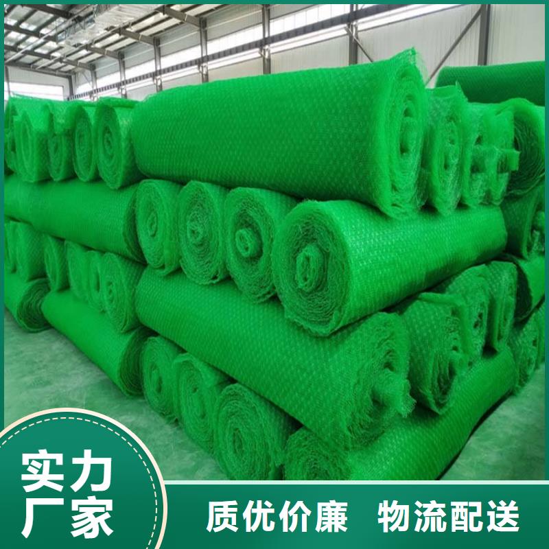 三维植被网止水铜片厂家您身边的厂家