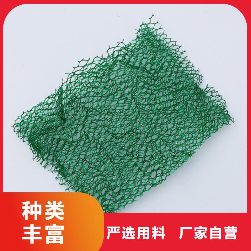 三维植被网止水铜片好品质用的放心