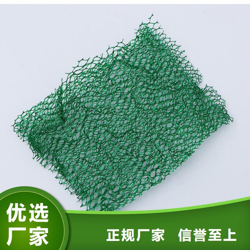 三维植被网止水紫铜片厂家直营