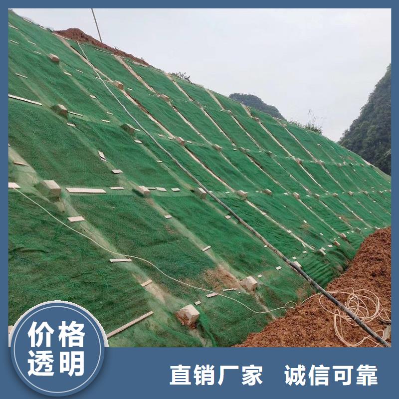 {金鸿耀}【快速生产 三维植被网,聚丙烯腈纤维正规厂家】-的简单介绍