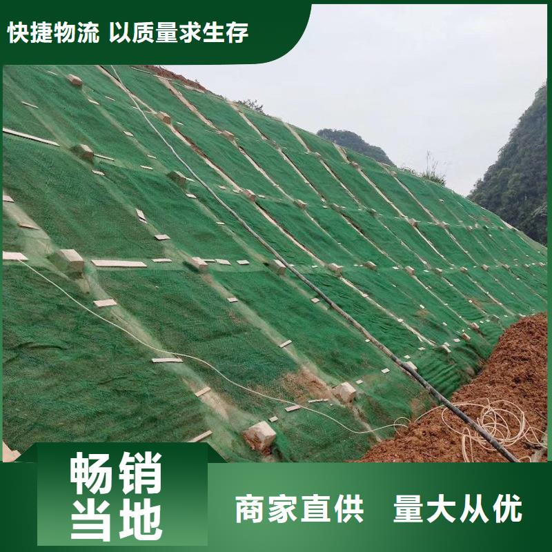 【三维植被网,止水铜片实力大厂家】