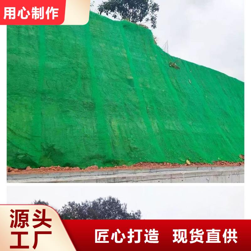 价格合理的三维网护坡生产厂家