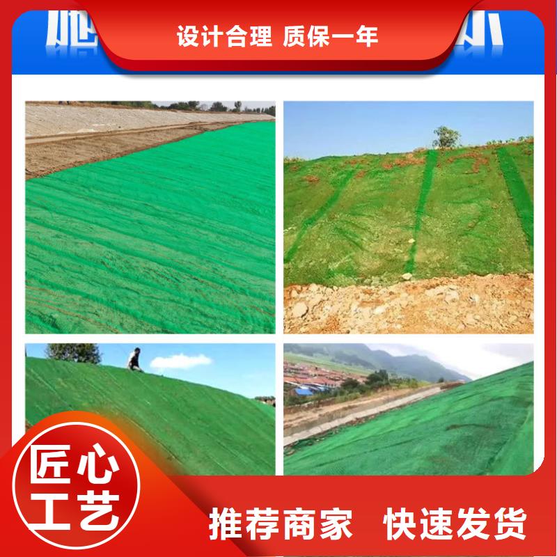 三维土工网植草厂家-认准金鸿耀工程材料有限公司