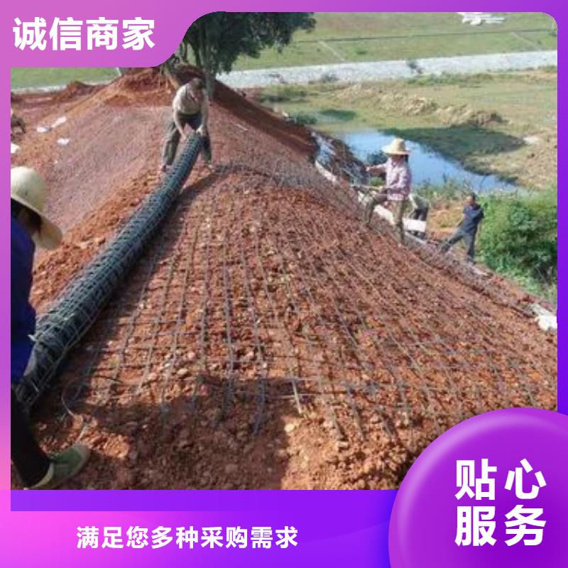 土工格栅仿钢塑钢纤维实力雄厚品质保障